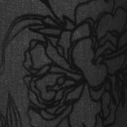 JEANS FLOCKPRINT von FRAPP