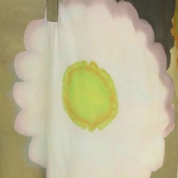 TUNIKA BLUME von DORIS STREICH